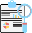 seo_audit